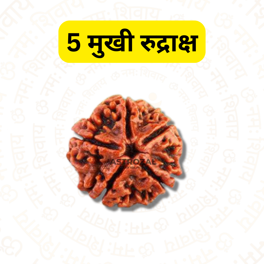 5 Mukhi Rudraksha – For good health and growth (Nepali)
