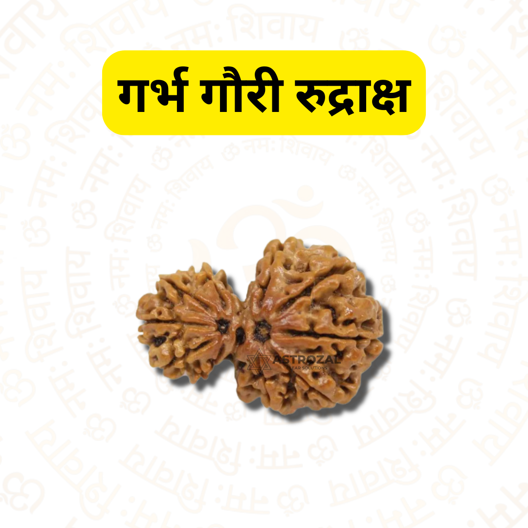 Garbh Gauri Rudraksha – The Sacred Bond of Mother and Child (Nepali)