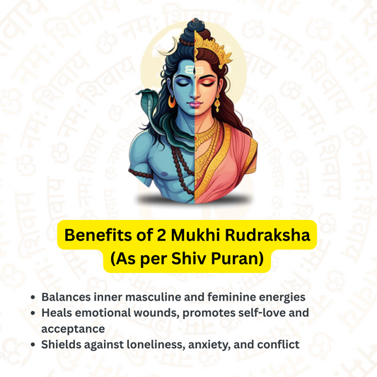 2 Mukhi Rudraksha – For better relationships (Nepali)