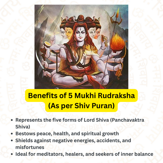 5 Mukhi Rudraksha – For good health and growth (Nepali)