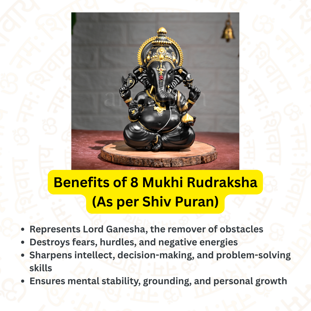 8 Mukhi Rudraksha – To solve problems and succeed (Nepali)