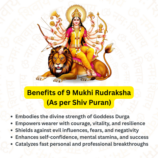 9 Mukhi Rudraksha – For strength and protection (Nepali)