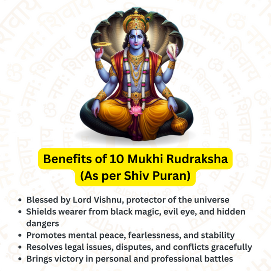 10 Mukhi Rudraksha – For help in legal matters (Nepali)