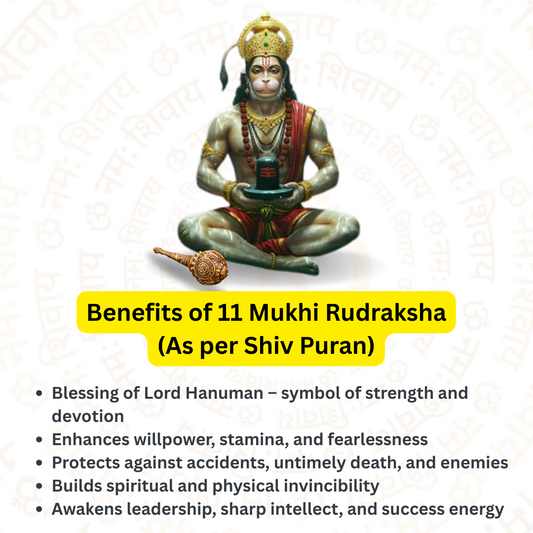 11 Mukhi Rudraksha – To be brave and strong (Nepali)