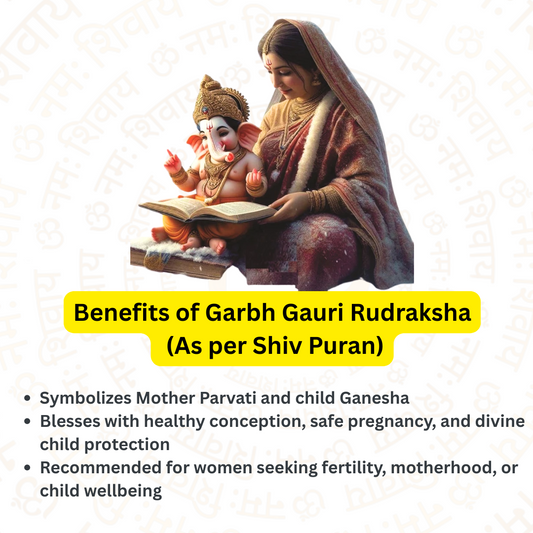 Garbh Gauri Rudraksha – The Sacred Bond of Mother and Child (Nepali)
