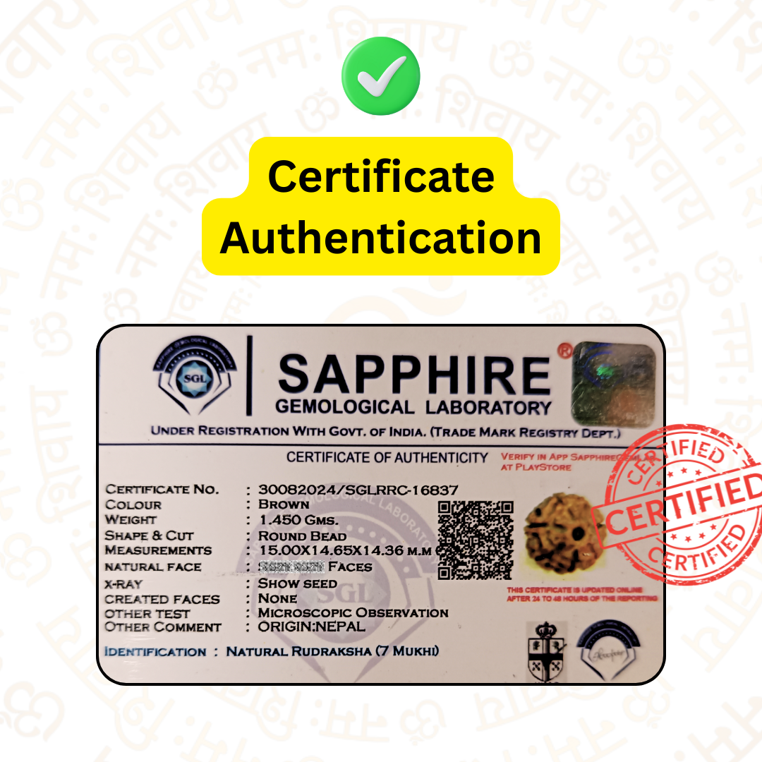 रुद्राक्ष राखी ब्रेसलेट - स्वास्थ्य, धन और आकर्षण के लिए