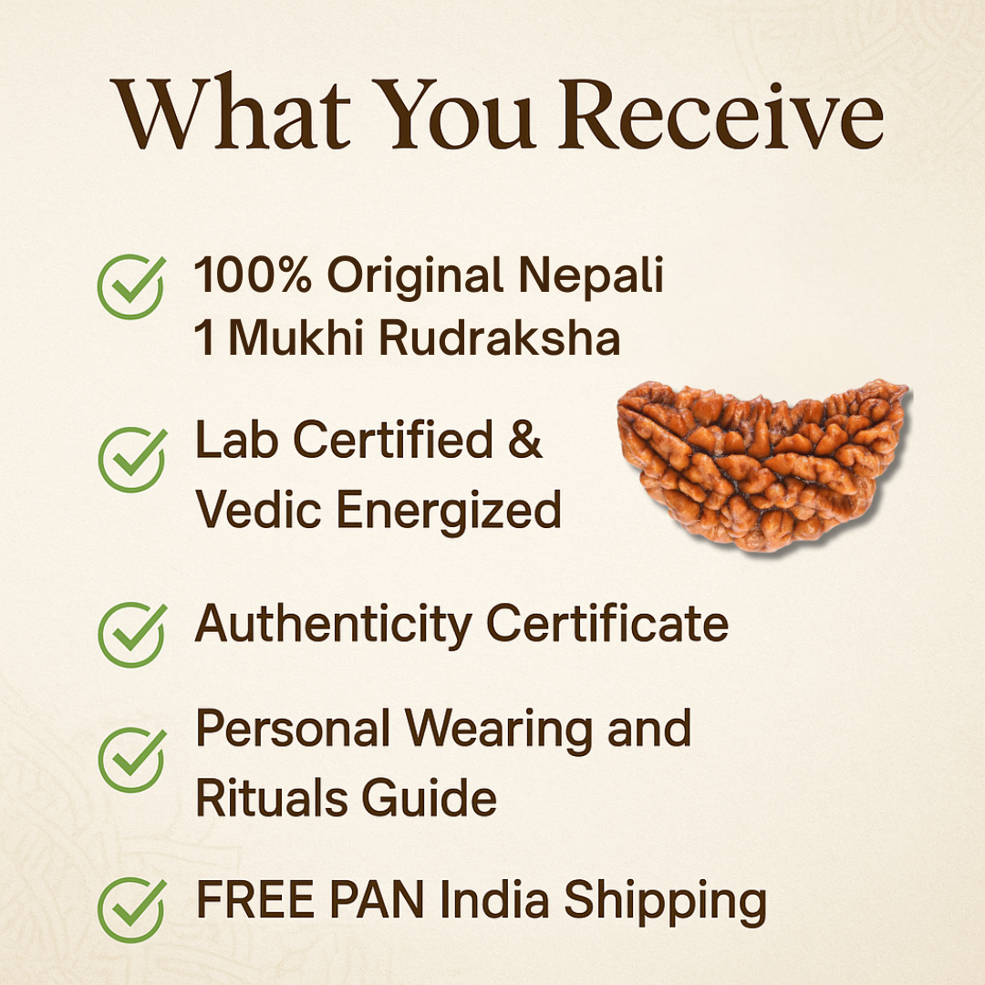 1 Mukhi Rudraksha – For peace and freedom (Nepali)