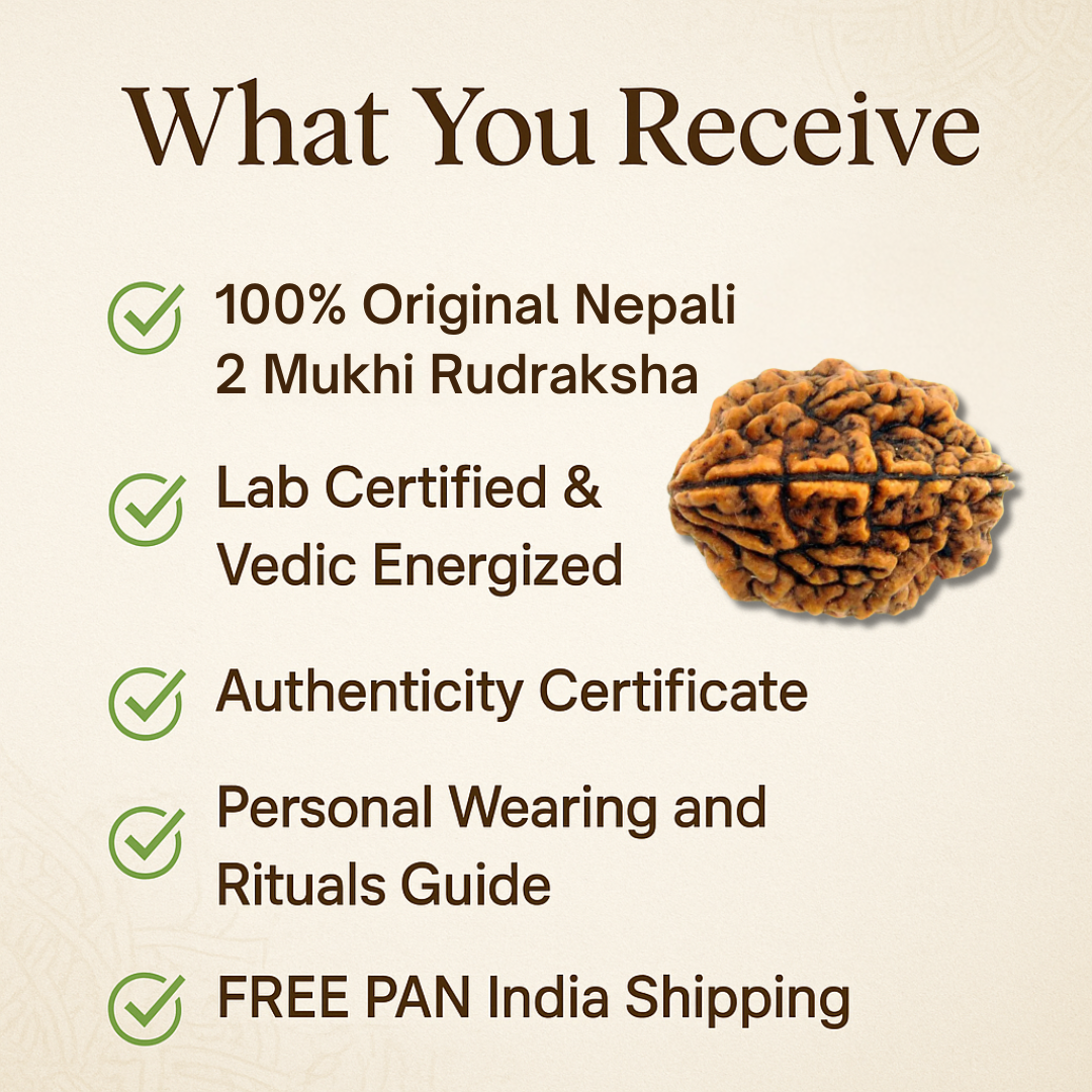 2 Mukhi Rudraksha – For better relationships (Nepali)