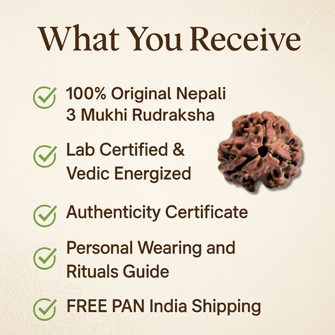 3 Mukhi Rudraksha – To forget past mistakes (Nepali)