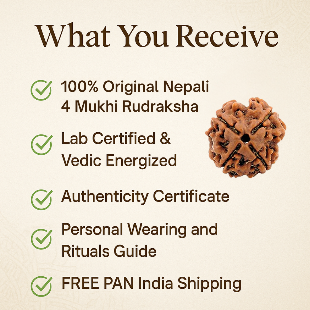 4 Mukhi Rudraksha – For learning and studies (Nepali)