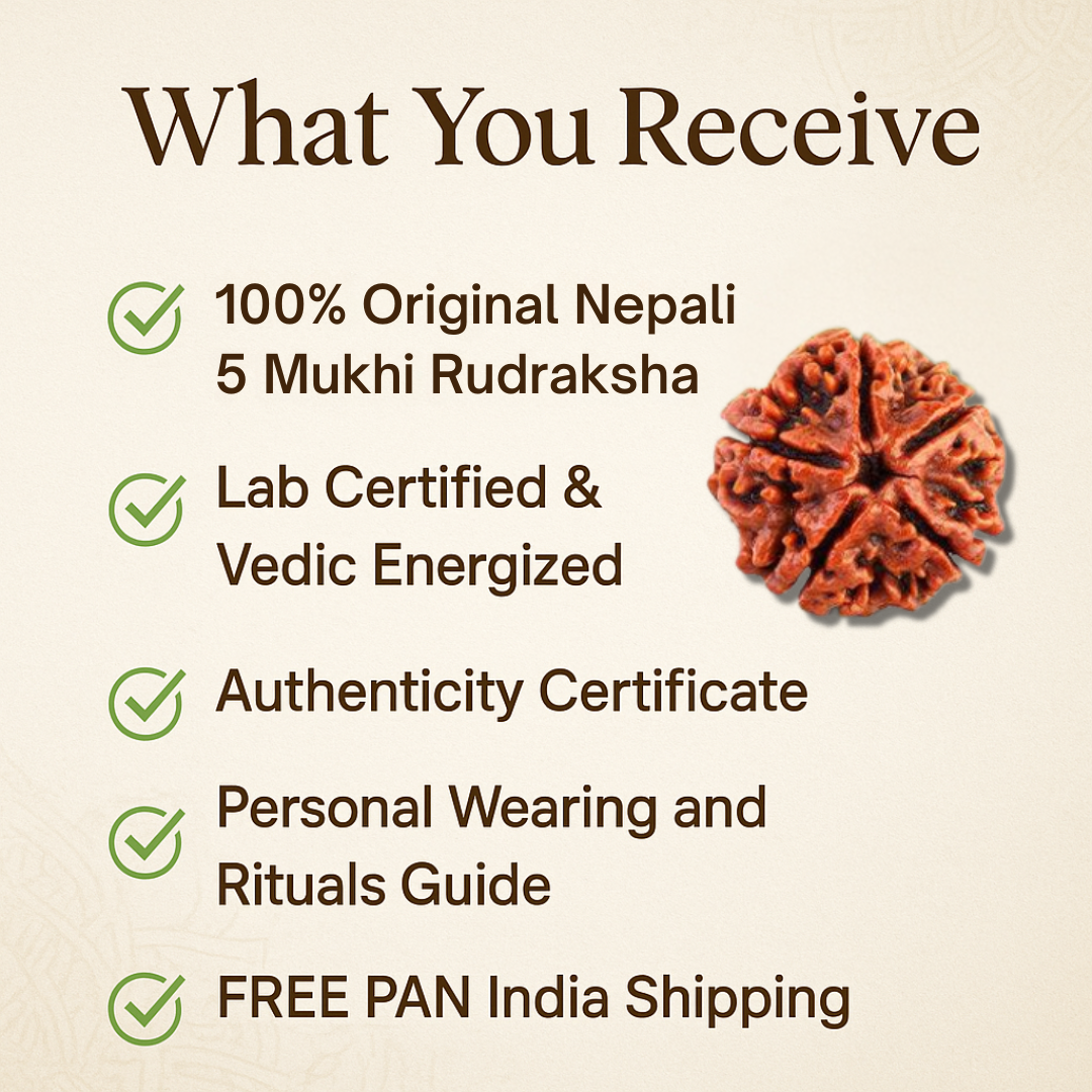 5 Mukhi Rudraksha – For good health and growth (Nepali)