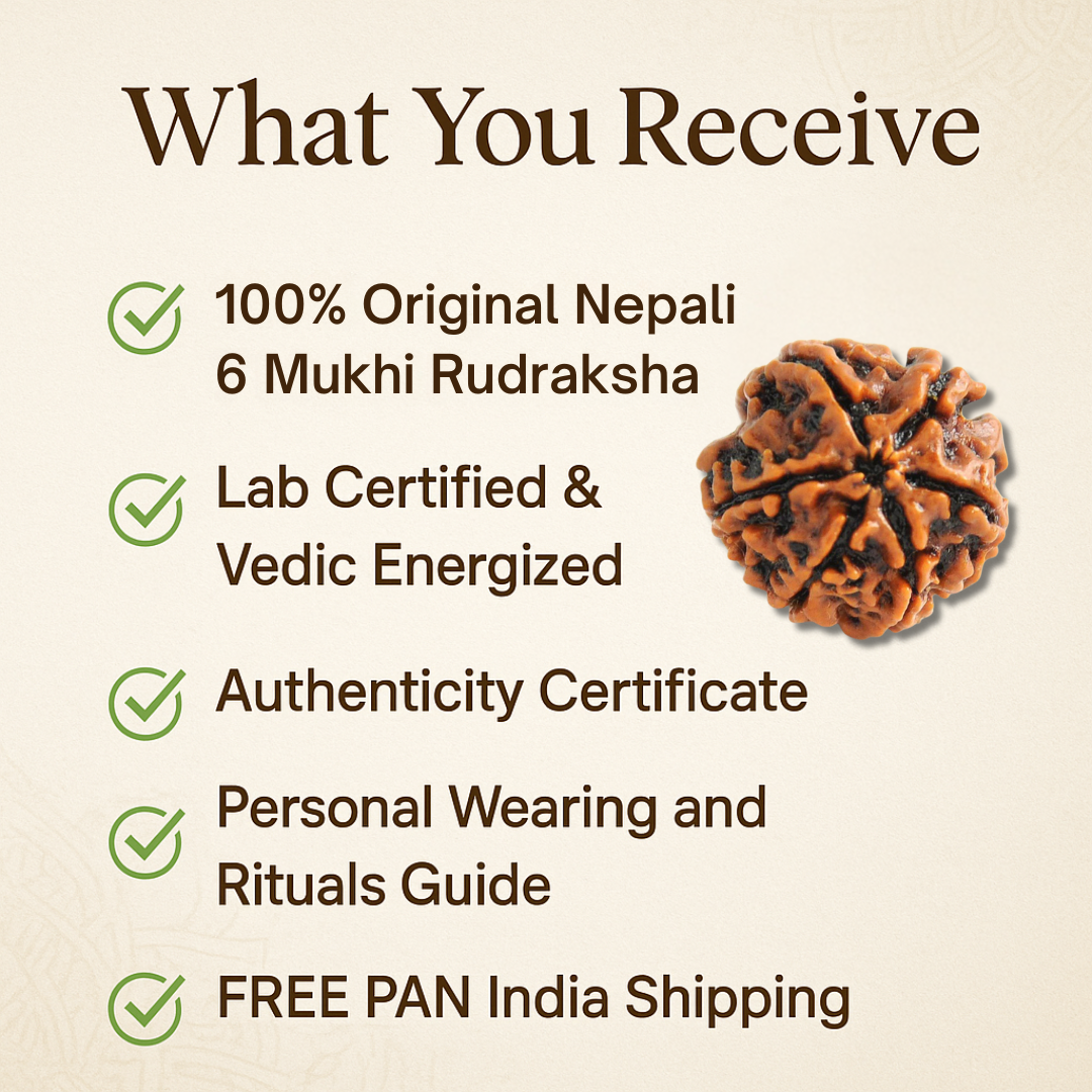 6 Mukhi Rudraksha – For love, marriage, relationship Problem (Nepali)