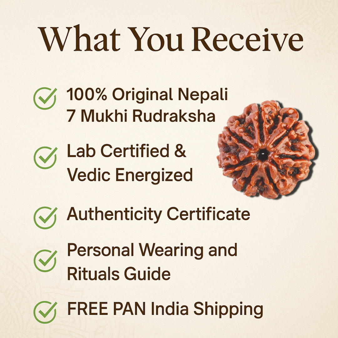 7 Mukhi Rudraksha – For money and wealth (Nepali)