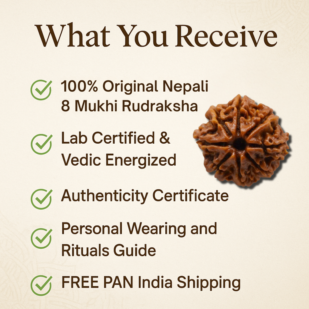 8 Mukhi Rudraksha – To solve problems and succeed (Nepali)