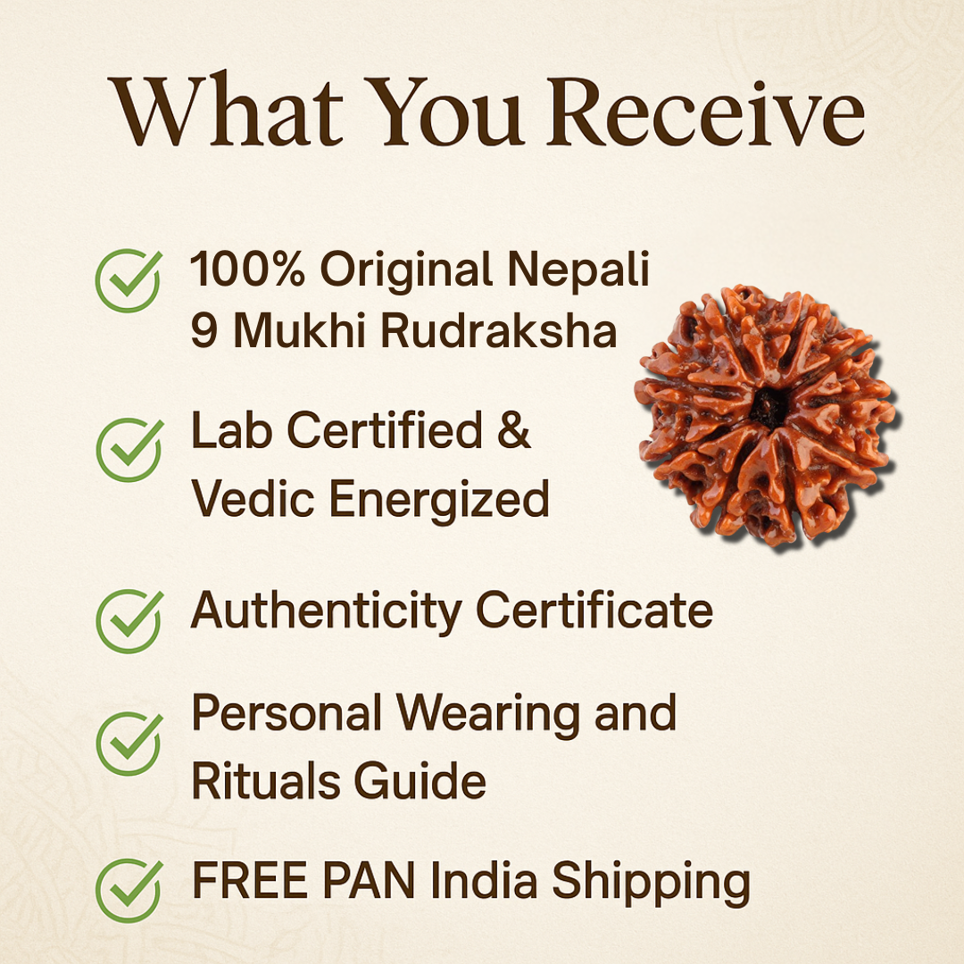 9 Mukhi Rudraksha – For strength and protection (Nepali)