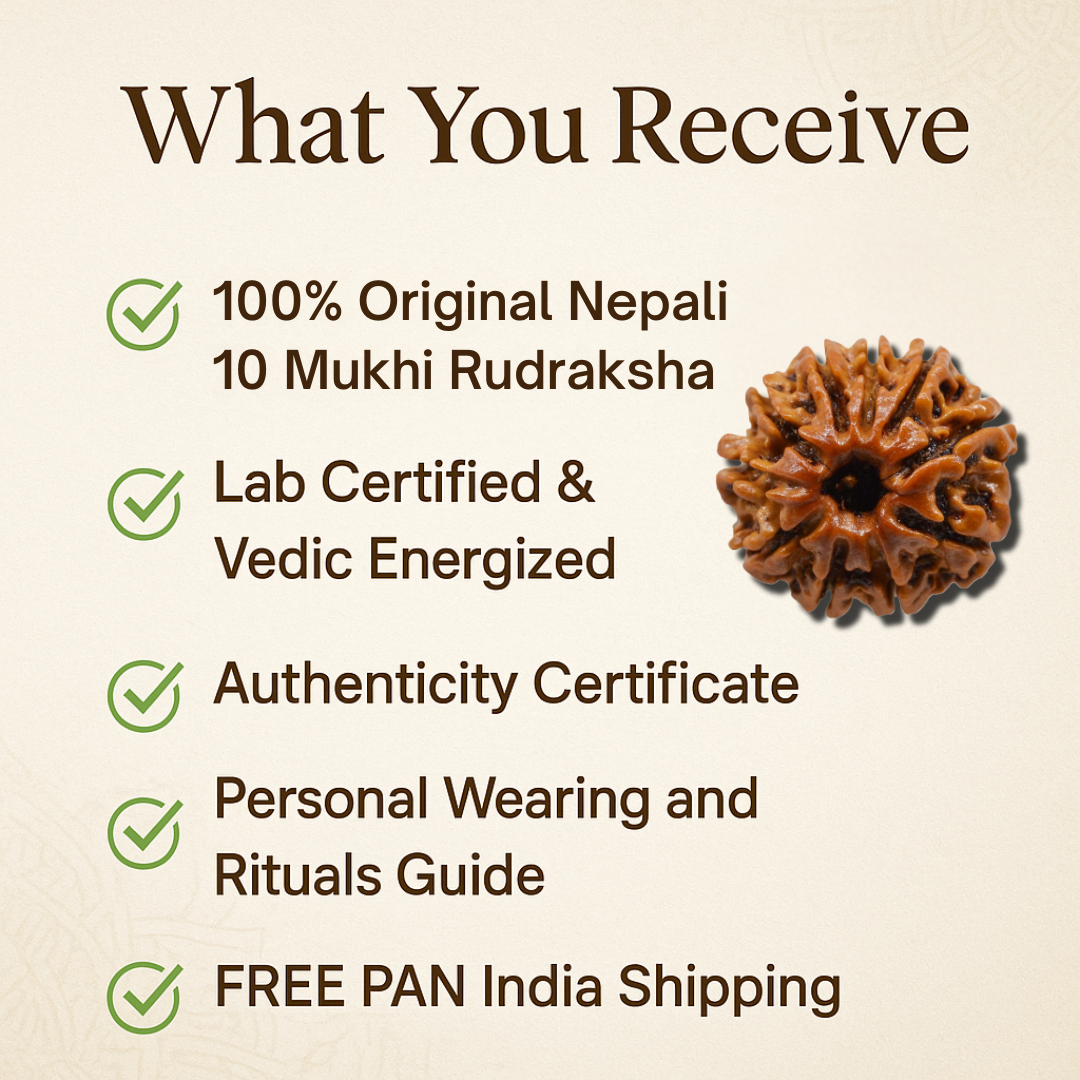 10 Mukhi Rudraksha – For help in legal matters (Nepali)