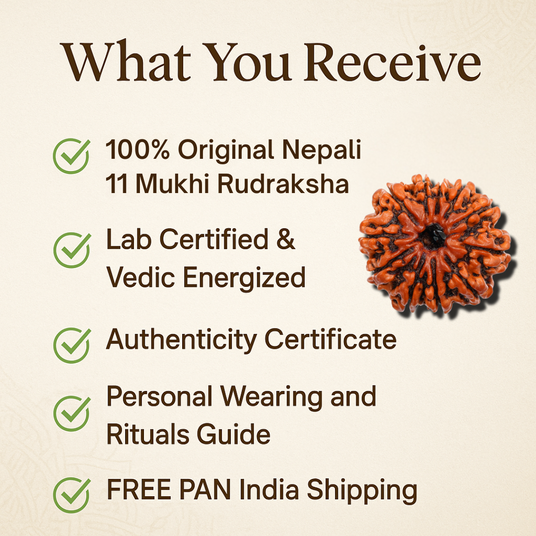 11 Mukhi Rudraksha – To be brave and strong (Nepali)