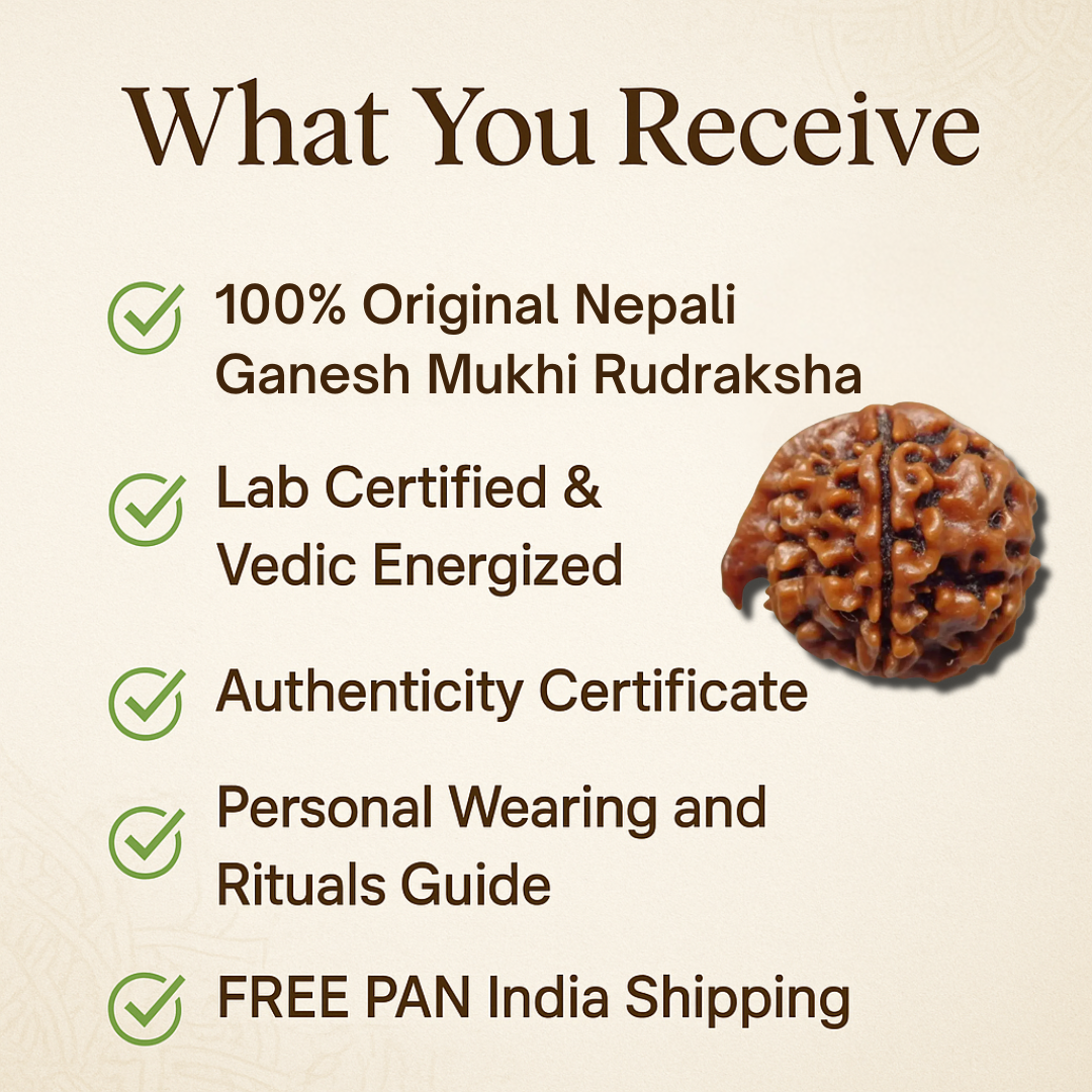 Ganesh Rudraksha – The Remover of Obstacles (Nepali)