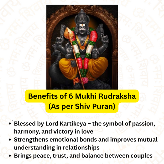 6 Mukhi Rudraksha – For love, marriage, relationship Problem (Nepali)