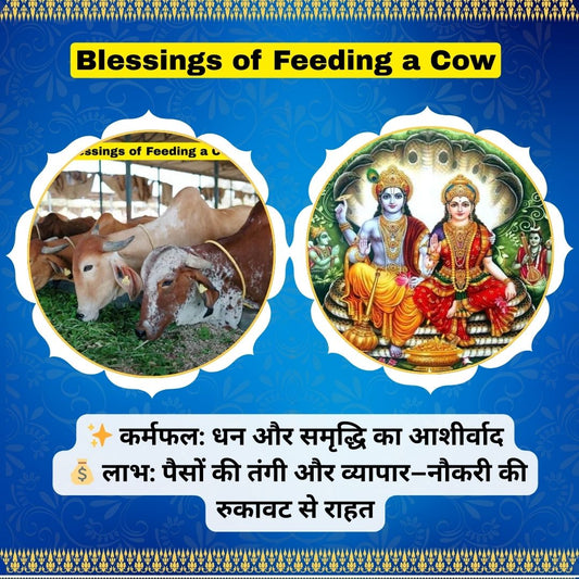 🐄 Blessings of Feeding a Cow