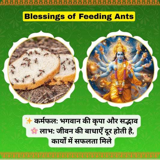 🐜 Blessings of Feeding Ants and Small Creatures