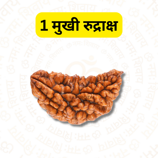 1 मुखी रुद्राक्ष - शांति और स्वतंत्रता के लिए (नेपाली)