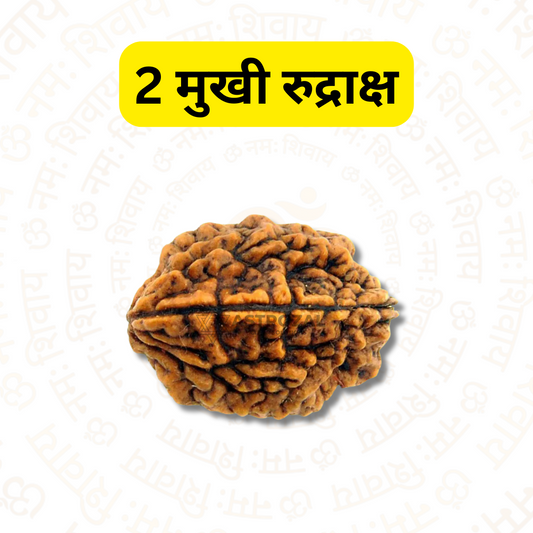 2 मुखी रुद्राक्ष - बेहतर रिश्तों के लिए (नेपाली)