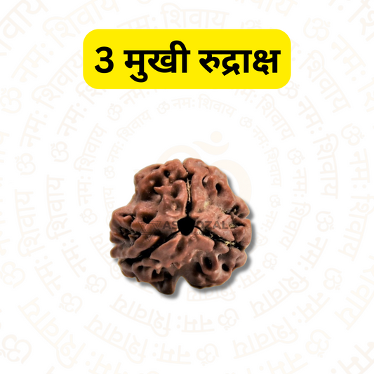 3 मुखी रुद्राक्ष - पिछली गलतियों को भूलने के लिए (नेपाली)