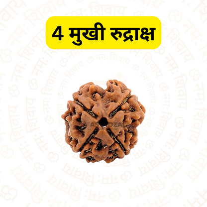 4 Mukhi Rudraksha – For learning and studies (Nepali)