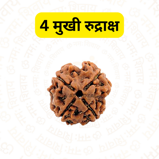 4 मुखी रुद्राक्ष - सीखने और अध्ययन के लिए (नेपाली)