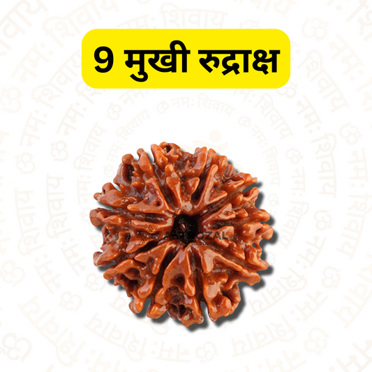 9 मुखी रुद्राक्ष - शक्ति और सुरक्षा के लिए (नेपाली)