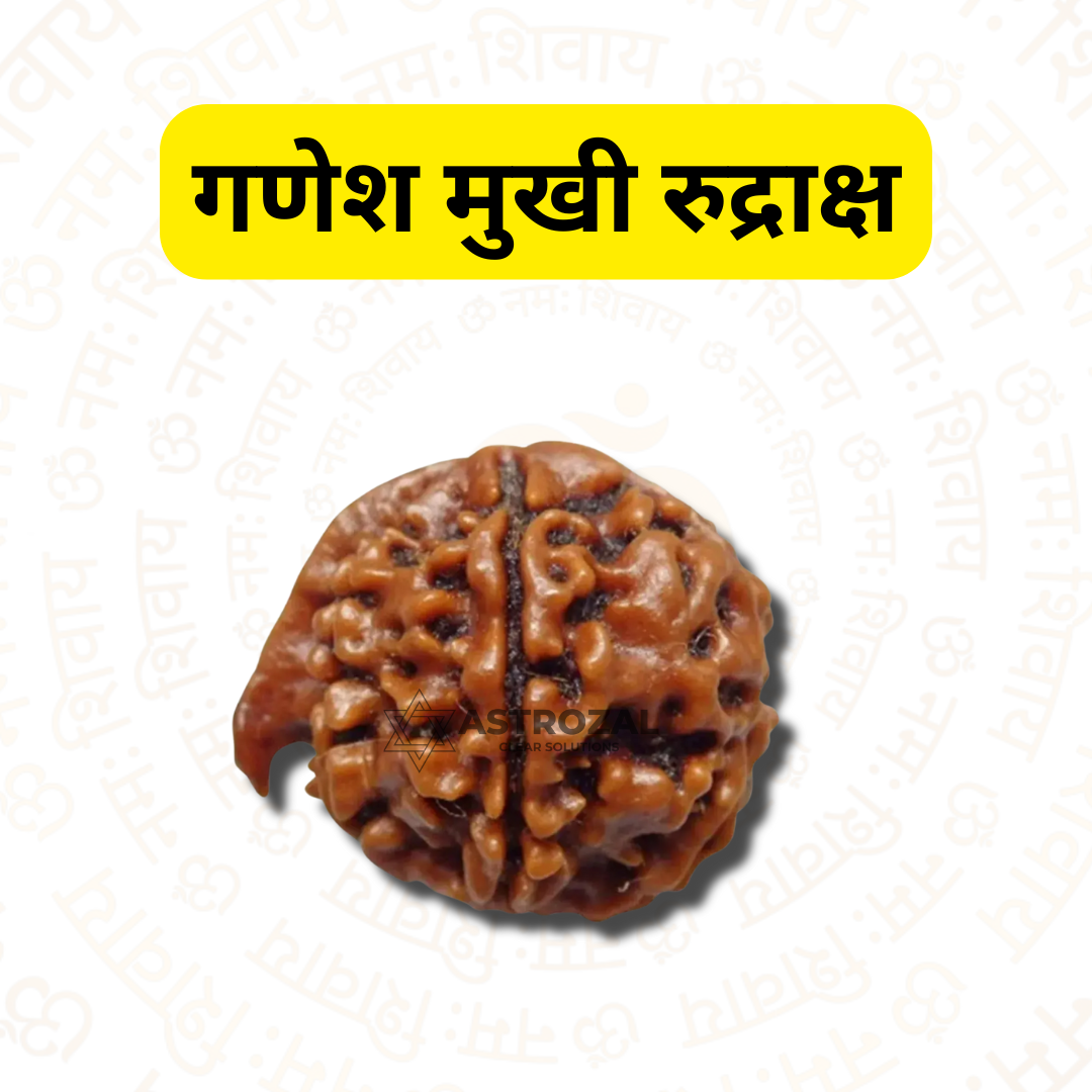 Ganesh Rudraksha – The Remover of Obstacles (Nepali)