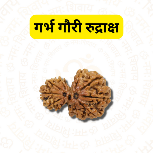 गर्भ गौरी रुद्राक्ष - माँ और बच्चे का पवित्र बंधन (नेपाली)