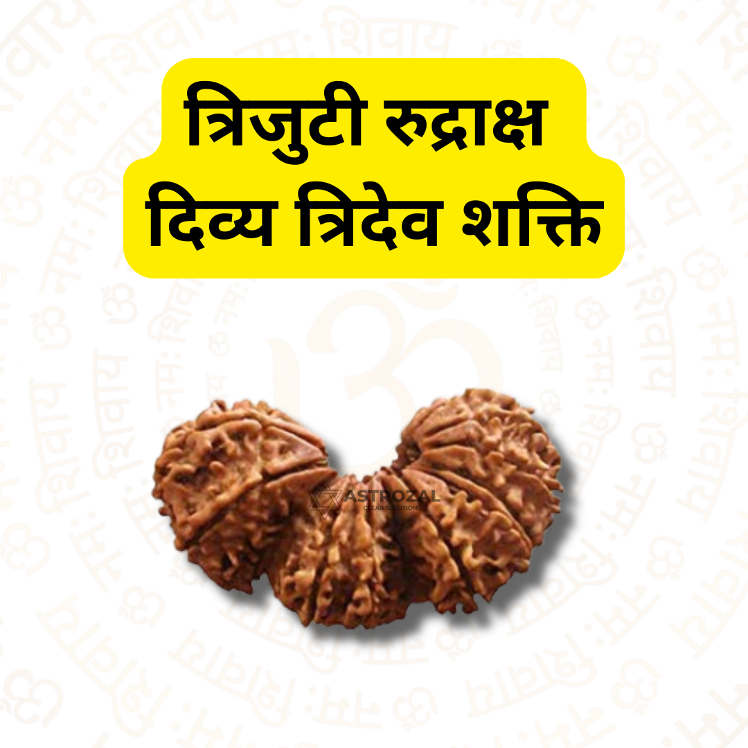 Trijuti Rudraksha – The Divine Trinity Power (Nepali)