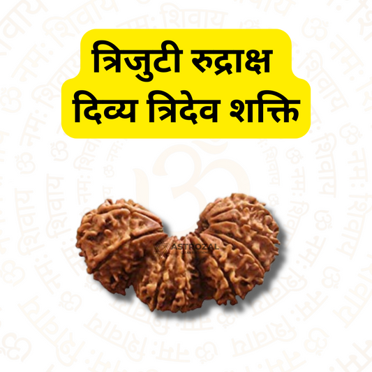 त्रिजुटी रुद्राक्ष - दिव्य त्रिदेव शक्ति (नेपाली)