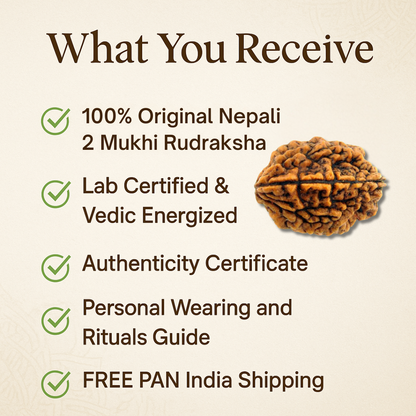 2 Mukhi Rudraksha – For better relationships (Nepali)