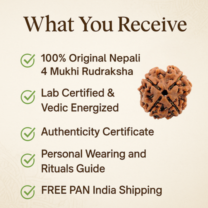 4 Mukhi Rudraksha – For learning and studies (Nepali)