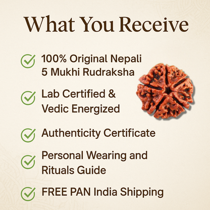 5 Mukhi Rudraksha – For good health and growth (Nepali)