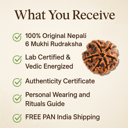 6 Mukhi Rudraksha – For love, marriage, relationship Problem (Nepali)