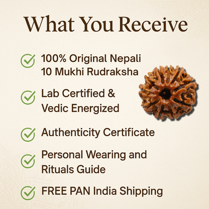 10 Mukhi Rudraksha – For help in legal matters (Nepali)
