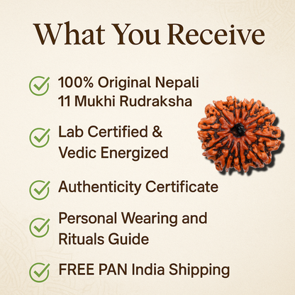 11 Mukhi Rudraksha – To be brave and strong (Nepali)