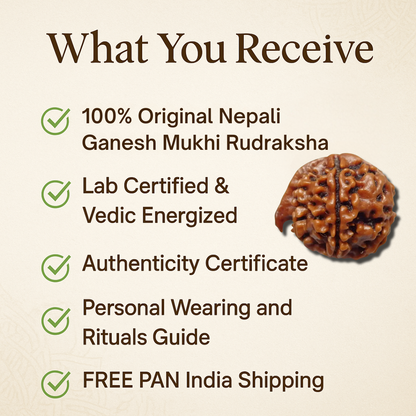 Ganesh Rudraksha – The Remover of Obstacles (Nepali)