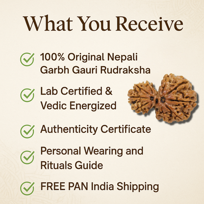 Garbh Gauri Rudraksha – The Sacred Bond of Mother and Child (Nepali)