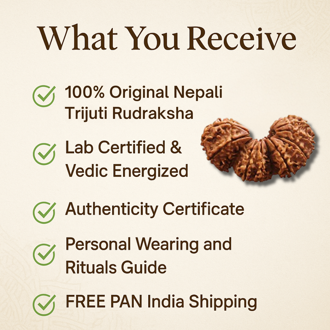 Trijuti Rudraksha – The Divine Trinity Power (Nepali)
