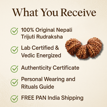 Trijuti Rudraksha – The Divine Trinity Power (Nepali)