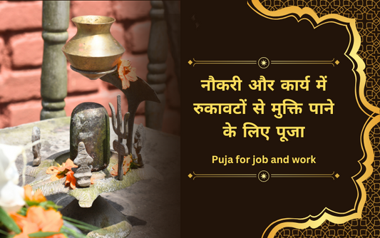 Job and Career Problem Removal Puja